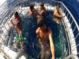 Oahu Activities Oahu Activities
